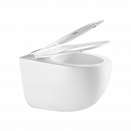 Подвесной унитаз безободковый Terminus Енисей Monolit 560х390 белый Севастополь - фото 7 Подвесной унитаз безободковый Terminus Енисей Monolit 560х390 белый Севастополь - фото 7