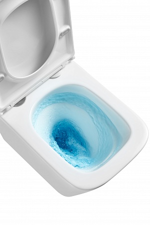 Подвесной унитаз безободковый Terminus Ватикан Monolit 490х340 белый Севастополь - фото 8 Подвесной унитаз безободковый Terminus Ватикан Monolit 490х340 белый Севастополь - фото 8