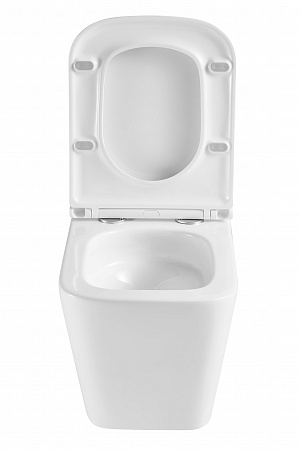 Подвесной унитаз безободковый Terminus Ватикан Monolit 490х340 белый Севастополь - фото 7 Подвесной унитаз безободковый Terminus Ватикан Monolit 490х340 белый Севастополь - фото 7