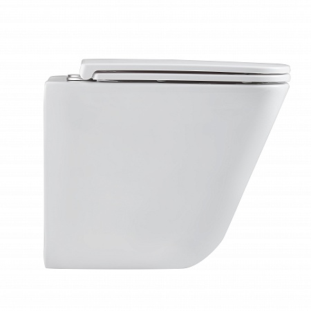 Подвесной унитаз безободковый Terminus Ватикан Monolit 490х340 белый Севастополь - фото 4 Подвесной унитаз безободковый Terminus Ватикан Monolit 490х340 белый Севастополь - фото 4