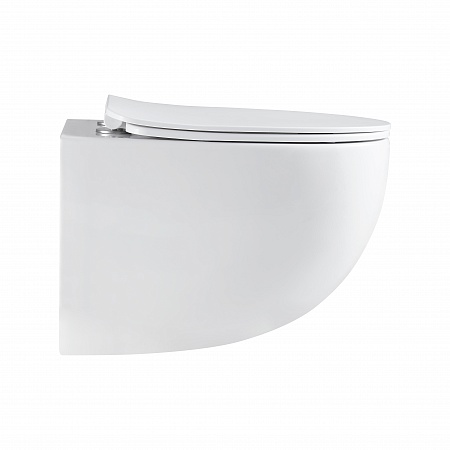 Подвесной унитаз безободковый Terminus Енисей Monolit 560х390 белый Севастополь - фото 4 Подвесной унитаз безободковый Terminus Енисей Monolit 560х390 белый Севастополь - фото 4