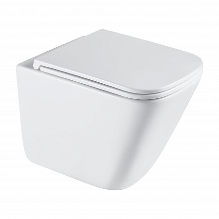 Подвесной унитаз безободковый Terminus Ватикан Monolit 490х340 белый Севастополь - фото 2 Подвесной унитаз безободковый Terminus Ватикан Monolit 490х340 белый Севастополь - фото 2