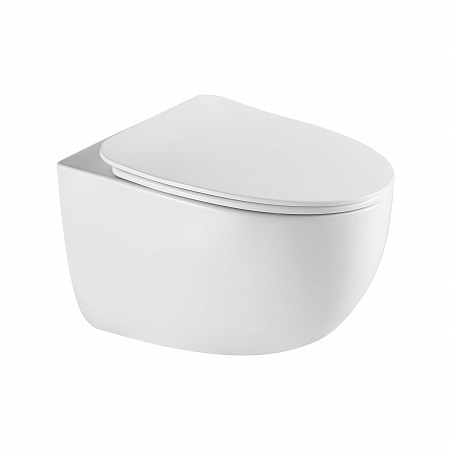 Подвесной унитаз безободковый Terminus Енисей Monolit 560х390 белый Севастополь - фото 2 Подвесной унитаз безободковый Terminus Енисей Monolit 560х390 белый Севастополь - фото 2