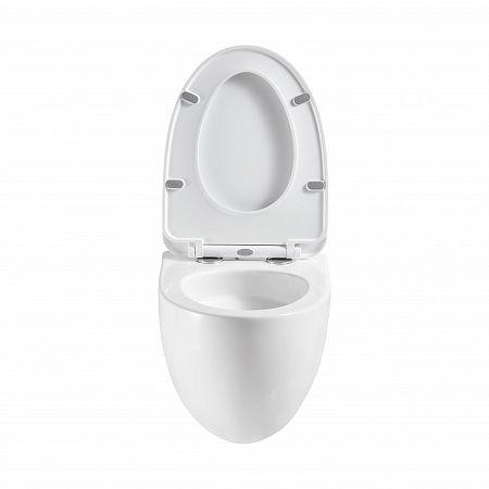 Подвесной унитаз безободковый Terminus Енисей Monolit 560х390 белый Севастополь - фото 5 Подвесной унитаз безободковый Terminus Енисей Monolit 560х390 белый Севастополь - фото 5