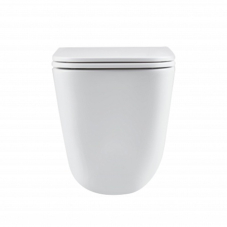 Подвесной унитаз безободковый Terminus Ватикан Monolit 490х340 белый Севастополь - фото 6 Подвесной унитаз безободковый Terminus Ватикан Monolit 490х340 белый Севастополь - фото 6