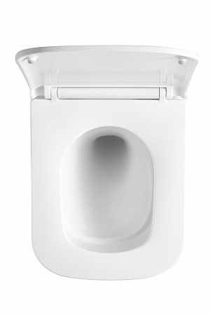 Подвесной унитаз безободковый Terminus Ватикан Monolit 490х340 белый Севастополь - фото 3 Подвесной унитаз безободковый Terminus Ватикан Monolit 490х340 белый Севастополь - фото 3